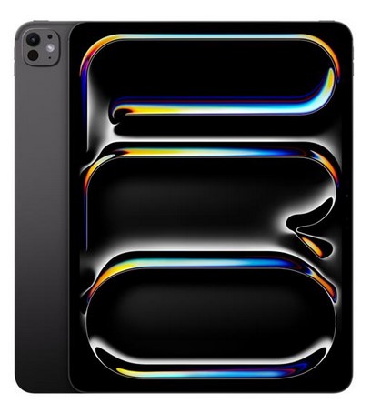 Ipad Pro Wifi 256GB Standrad 13-Space Black