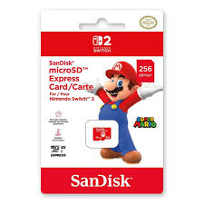 sandik micro sd