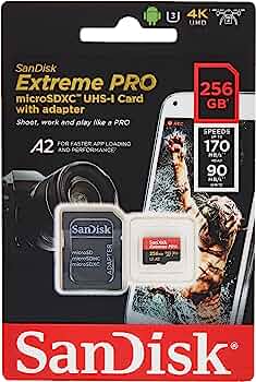 כרטיס EXPRO MICRO 256GB