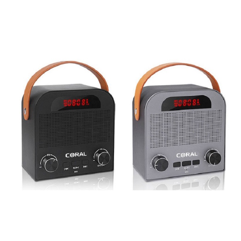Coral Mini Retro