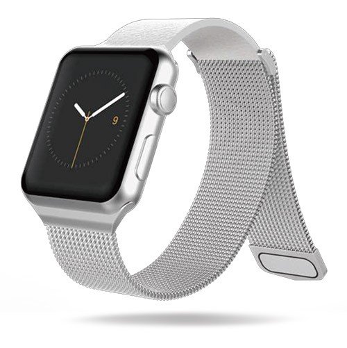 Stainless Watch Strap 42\44 Silver