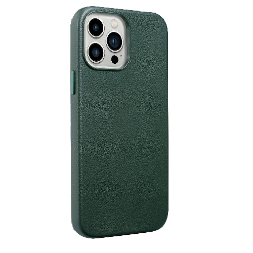GoldMagSafe 13P Green