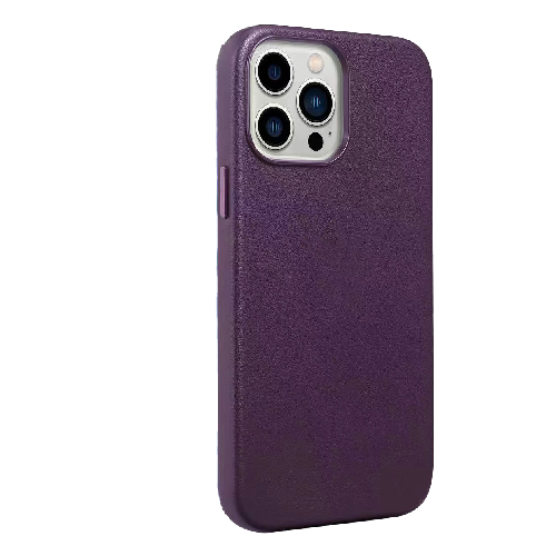 Gold Magsafe ip14 wine