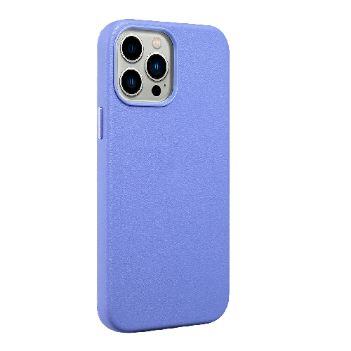 Gold Magsafe ip14 Purple