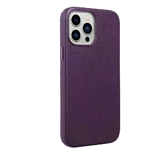 Gold Magsafe ip14p Wine